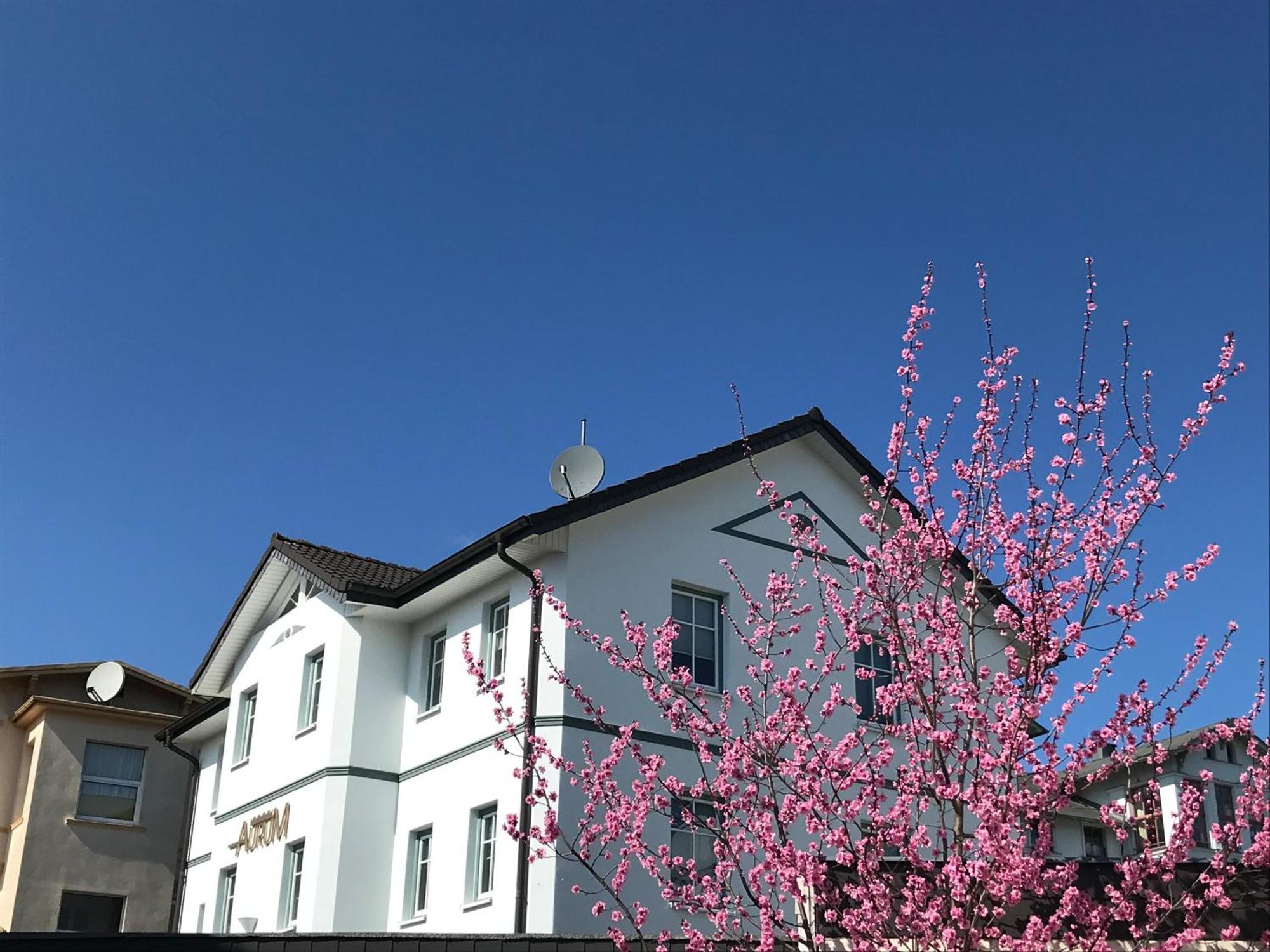 Apartmenthaus Aurum Heringsdorf  Exterior foto